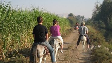 Egypt Travel Guide…………………………………………….