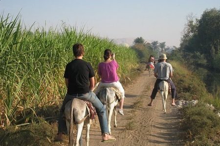 Egypt Travel Guide…………………………………………….
