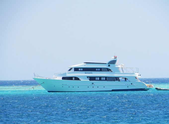 Snorkeling Trip At Port Ghalib Marina from Marsa Alam