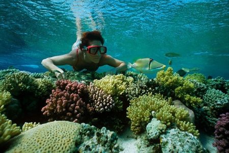 6 Day Cairo, Luxor and Hurghada Tour