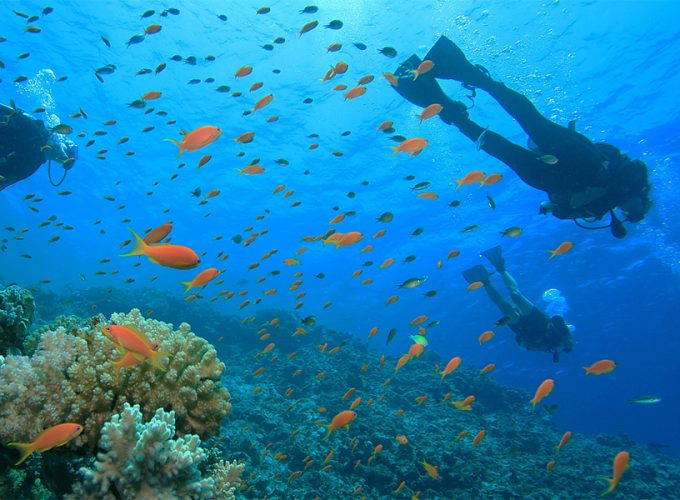 Scuba diving Marsa Alam